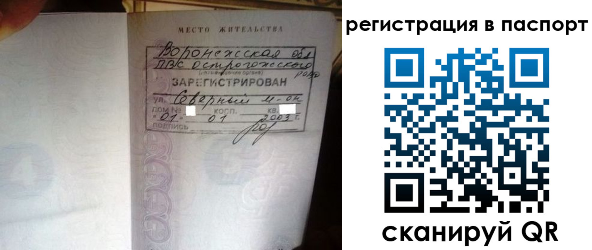 прописка для школы в Мордовии